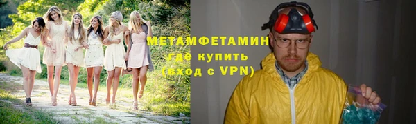 прущие грибы Белокуриха