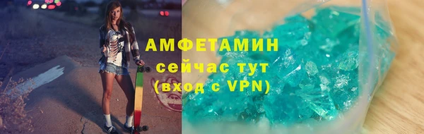прущие грибы Белокуриха