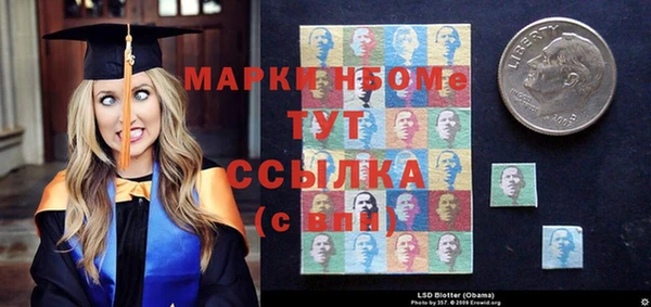 дживик Билибино