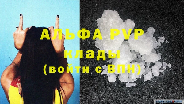 эйфоретик Беломорск