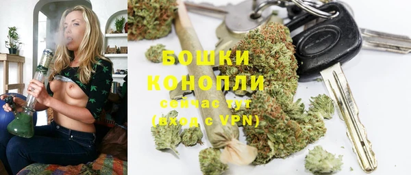 прущие грибы Белокуриха