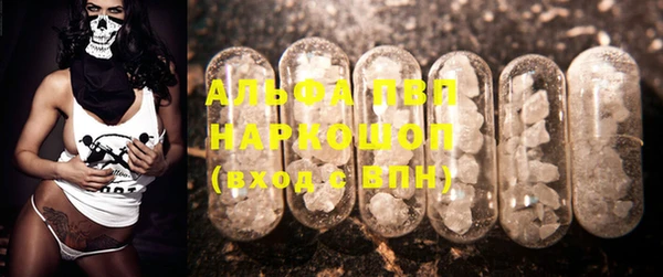 индика Белоозёрский