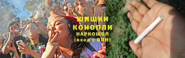 индика Белоозёрский